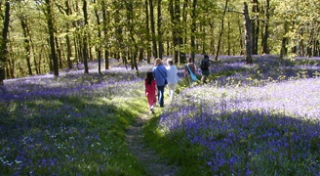  Erstaunliche Wander- und Wandertage 